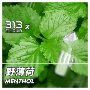 Airscram艾爾斯凱姆電子菸小煙油313系列30ML|E-JULCE Vape|11號野薄荷