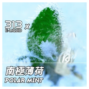 Airscram艾爾斯凱姆電子菸小煙油313系列30ML|E-JULCE Vape|19號極地薄荷