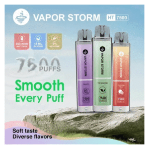 VAPOR STORM風暴辣妹電子煙可充電一次性拋棄式7500口